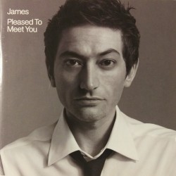JAMES PLEASED TO MEET YOU 2 LP LIMITED