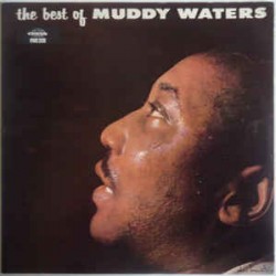 WATERS MUDDY THE BEST OF LP