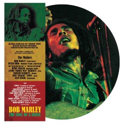 BOB MARLEY THE SOUL OF A REBEL LP LIMITED PICTURE
