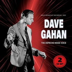 DAVE GAHAN-THE DEPECHE MODE VOICE 2 CD LIMITED