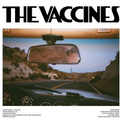 THE VACCINES PICK UP FULL OF PINK CARNATIONS LP COLOUR LIMITED