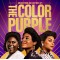 THE COLOR PURPLE MUSIC FROM AND INSPIRED BY 3 LP LIMITED