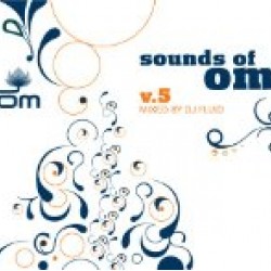SOUNDS OF OM V 5 MIXED BY DJ FLUID 