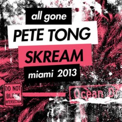 ALL GONE PETE TONG SKREAM MIAMI 2013
