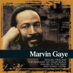 GAYE Marvin collections
