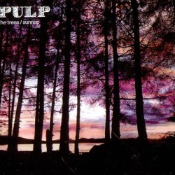 pulp the trees/ sunrise