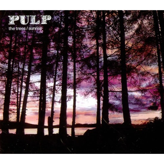 pulp the trees/ sunrise