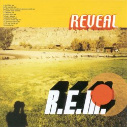 REM reveal