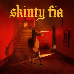 FONTAINES D.C. SKINTY FIA LP LIMITED EDITION 