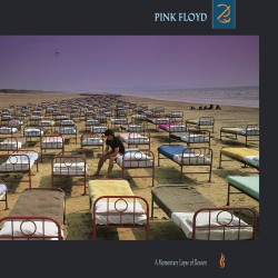 PINK FLOYD A MOMENTARY LAPSE OF REASON LP