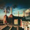 PINK FLOYD ANIMALS REMASTERED LP LIMITED