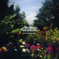 AUTOW NITE SUPERSTORE RUNNING TOWARDS THE END OF THE LIGHT (LP SPLATTER + POSTER) LIMITED