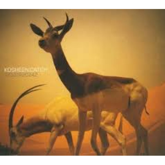KOSHEEN CATCH CD SINGLE