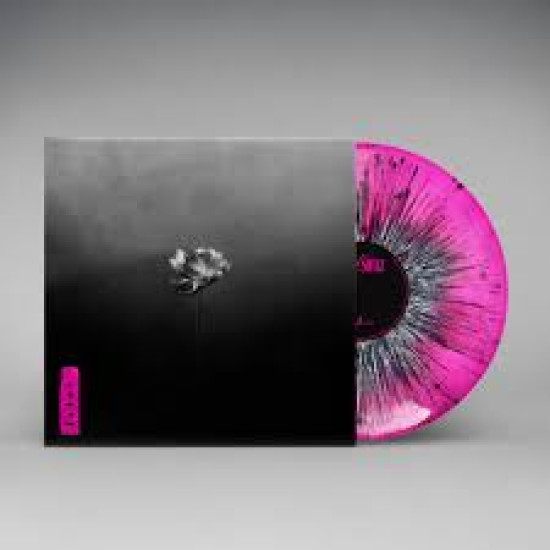 LITTLE SIMZ LOTUS CD LIMITED