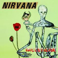 NIRVANA INCESTICIDE CD LIMITED