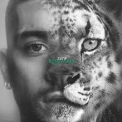 ZAYN  KONNAKOL LP LIMITED