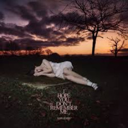 BABY QUEEN I HOPE YOU DONT REMEMBER ME LP LIMITED