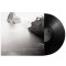 DYLAN MATTINGLY: THE WILD HEART  CONTEMPORANEOUS & DAVID BLOOM  LP LIMITED