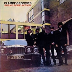 FLAMIN' GROOVIES SHAKE SOME ACTION 2 CD LIMITED