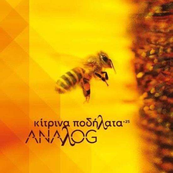 ΚΙΤΡΙΝΑ ΠΟΔΗΛΑΤΑ ANALOG + 25 LP LIMITED
