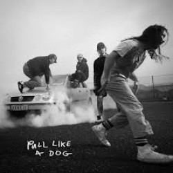 THE SCRATCH PULL LIKE A DOG LP LIMITED