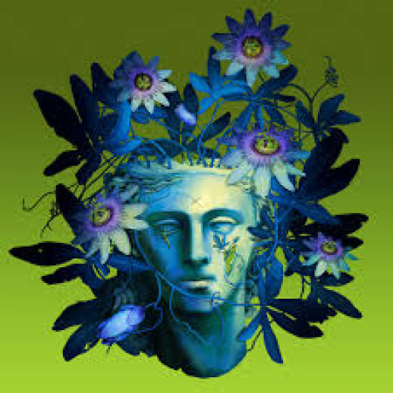 STONED STATUES NOTHING IS EVER OVER CD LIMITED