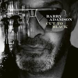 BARRY ADAMSON CUT TO BLACK CD LIMITED
