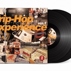 TRIP HOP EXPERIENCE VOL 1 2 LP LIMITED