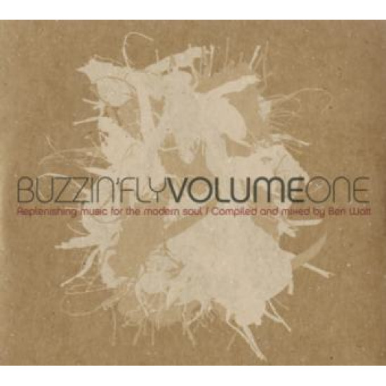 BUZZIN FLY VOLUME ONE