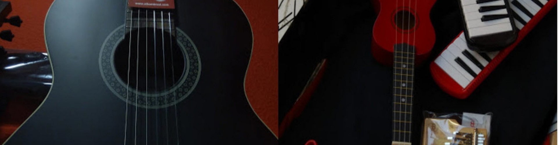 Photo split in half. Left Guitar. Right Guitar and harmonies