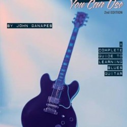 JOHN GANAPES BLUES YOU CAN USE A COMPLETE GUIDE TO LEARNING BLUES GUITAR